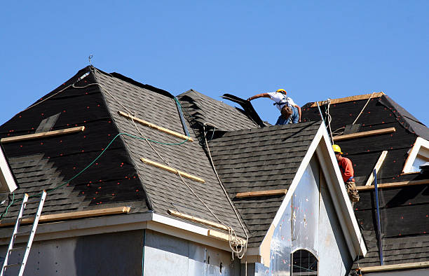 Best Storm Damage Roof Repair  in Theresa, WI