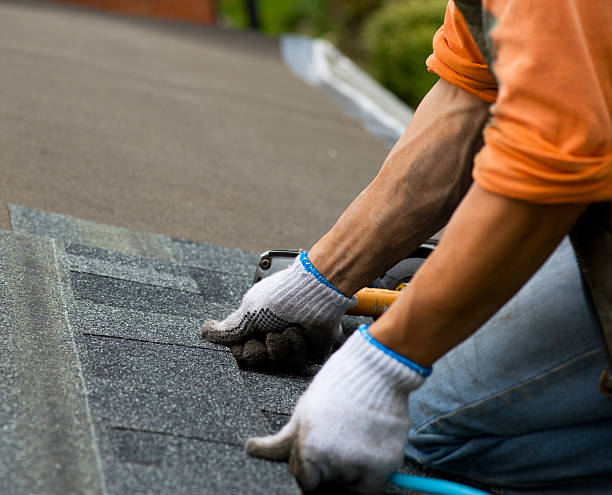 Best Roof Repair Specialists  in Theresa, WI