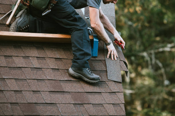Best Residential Roofing Contractor  in Theresa, WI